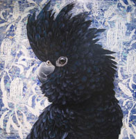 Fornander-Red-tailed-Black-Cockatoo-Oil-on-linen-77x77cm---.jpgW.jpg